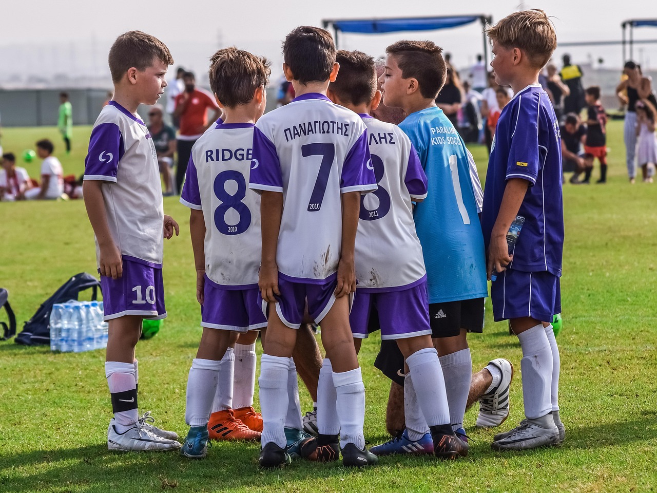 如何使用信号标记来优化您的网站