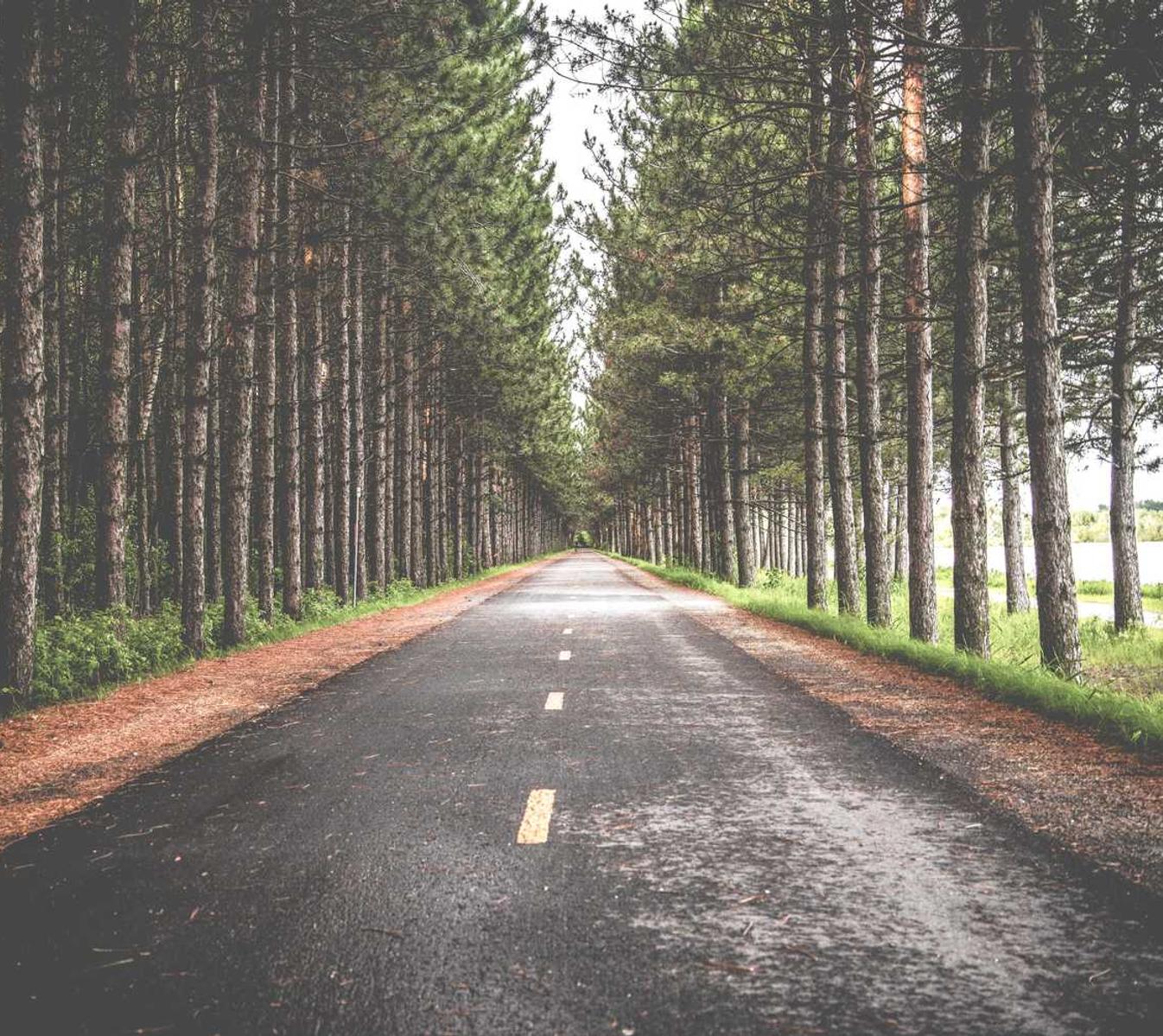 国内微信号：短信如何成为您的创新和变革的重要工具 