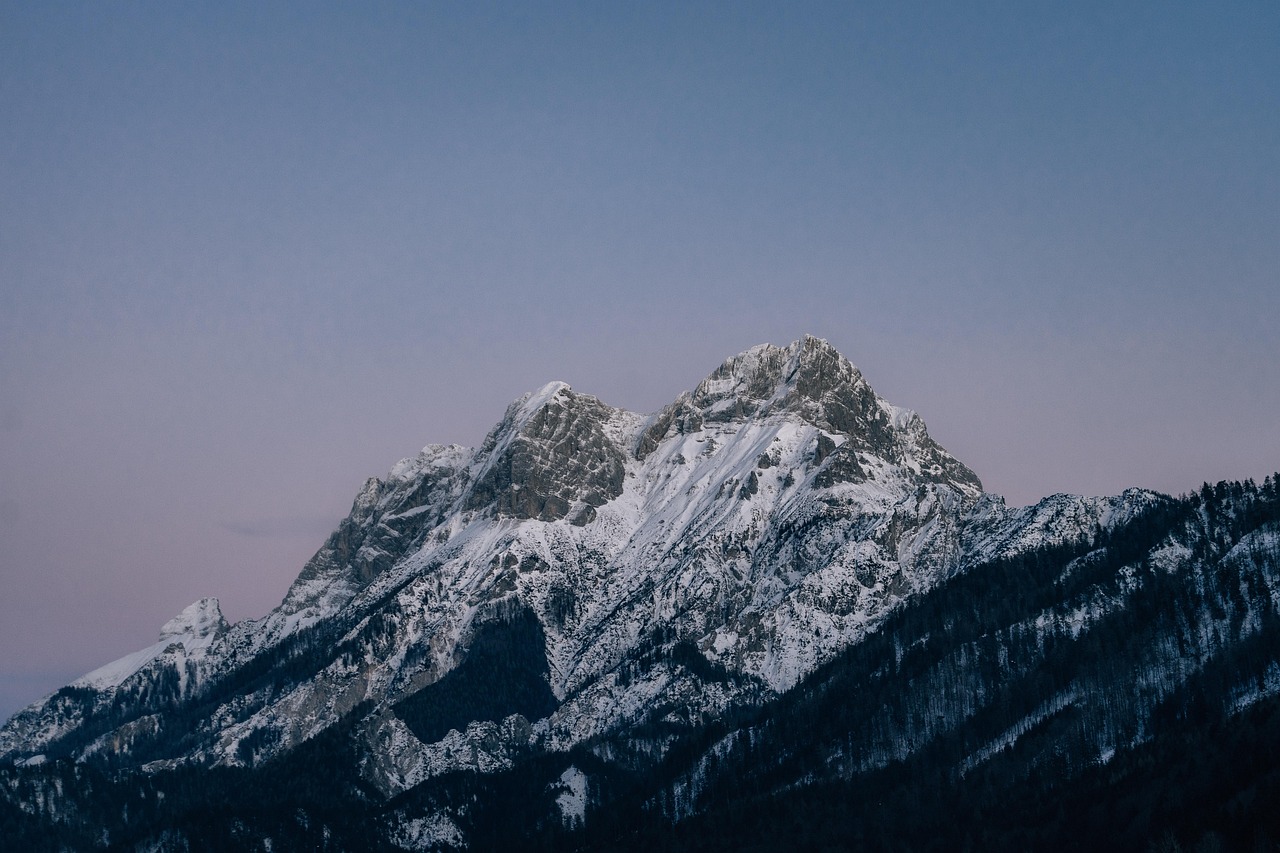 救世之树M：jj专辑购买平台