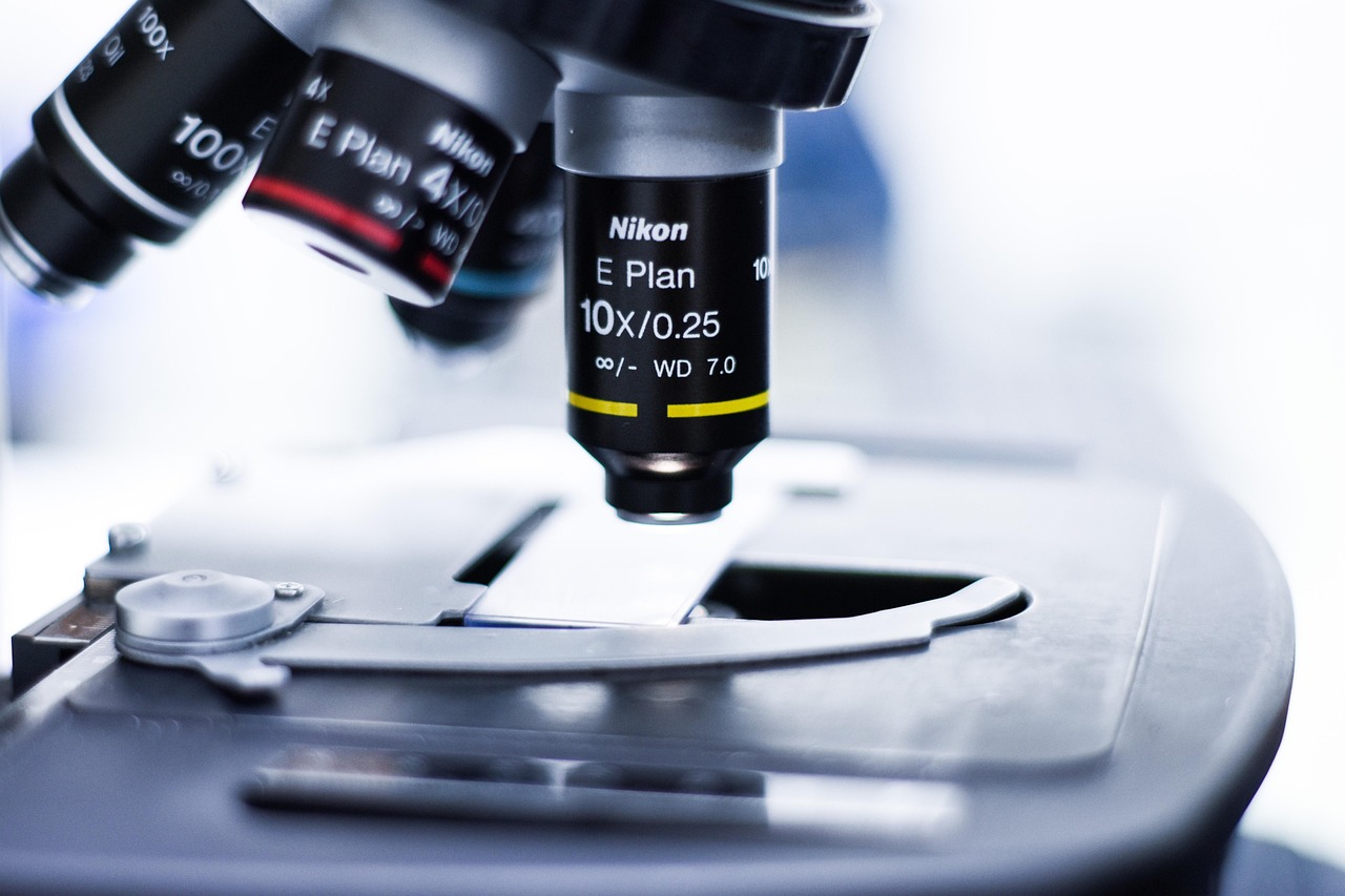 DDOS压力测试网页端|网络注册公司代理