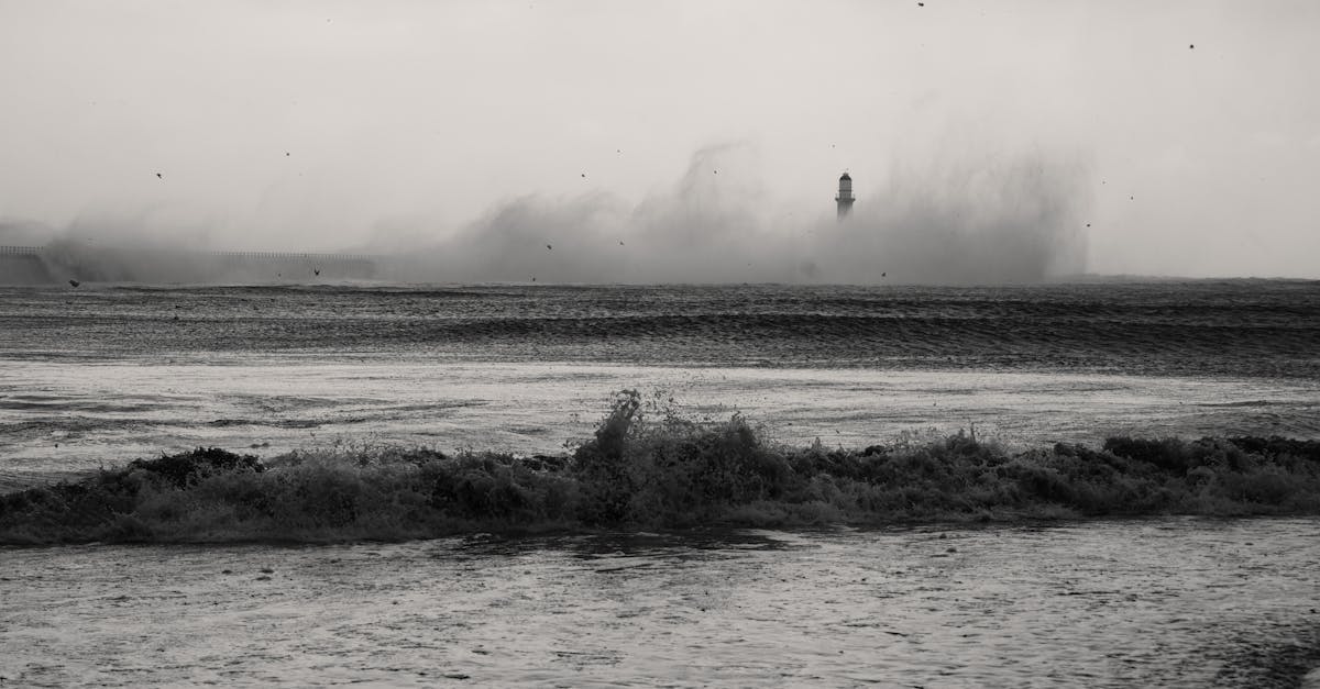 DDOS平台|五华区注册代理机构地址