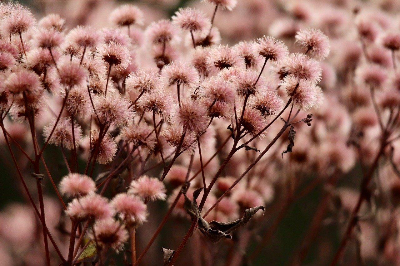 长江时代实名账号：浏览器重新注册账号怎么弄