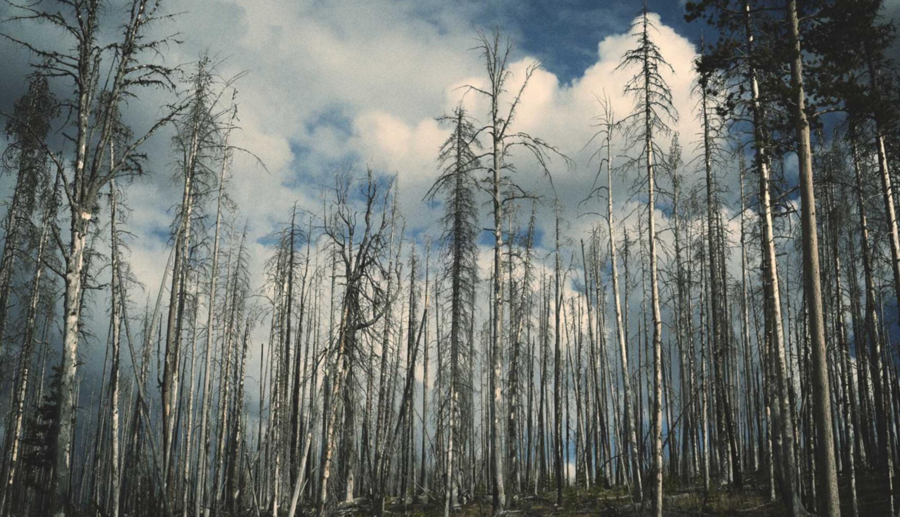 DDOS在线压力测试|信聊app详情下载教程