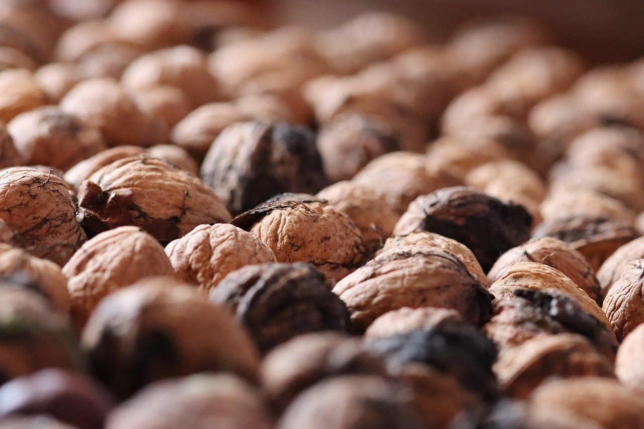 DDOS网页端|江门个人公司代理注册代理记账