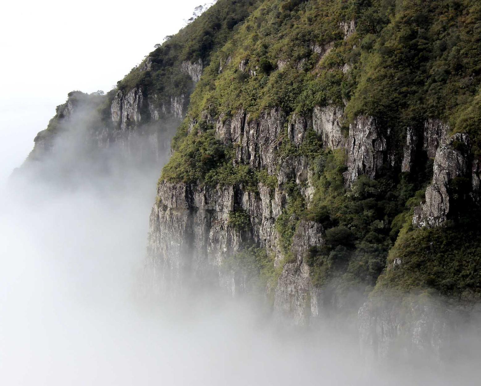 ice蓝冰爆珠：外汇黄金开户平台哪家好些