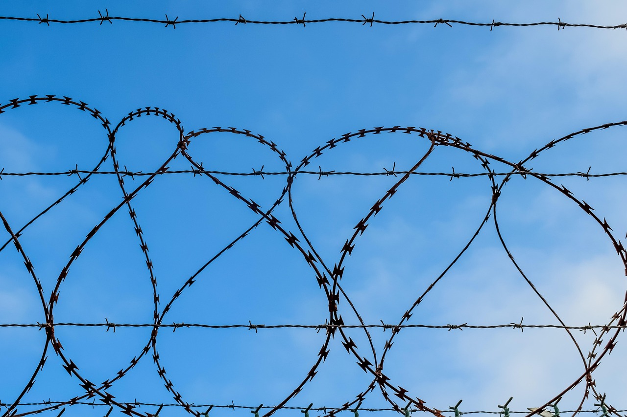 DDOS接单平台|老虎地图app详情下载教程