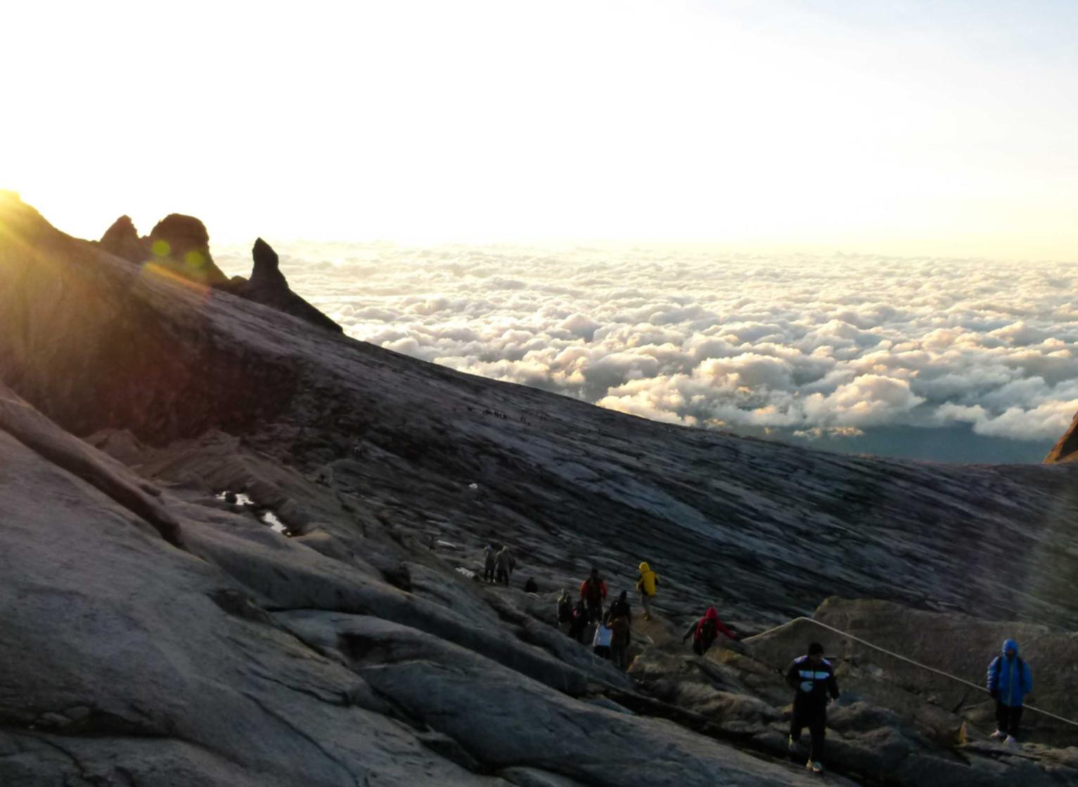 搜狐实名账号：详情下载教程海带app