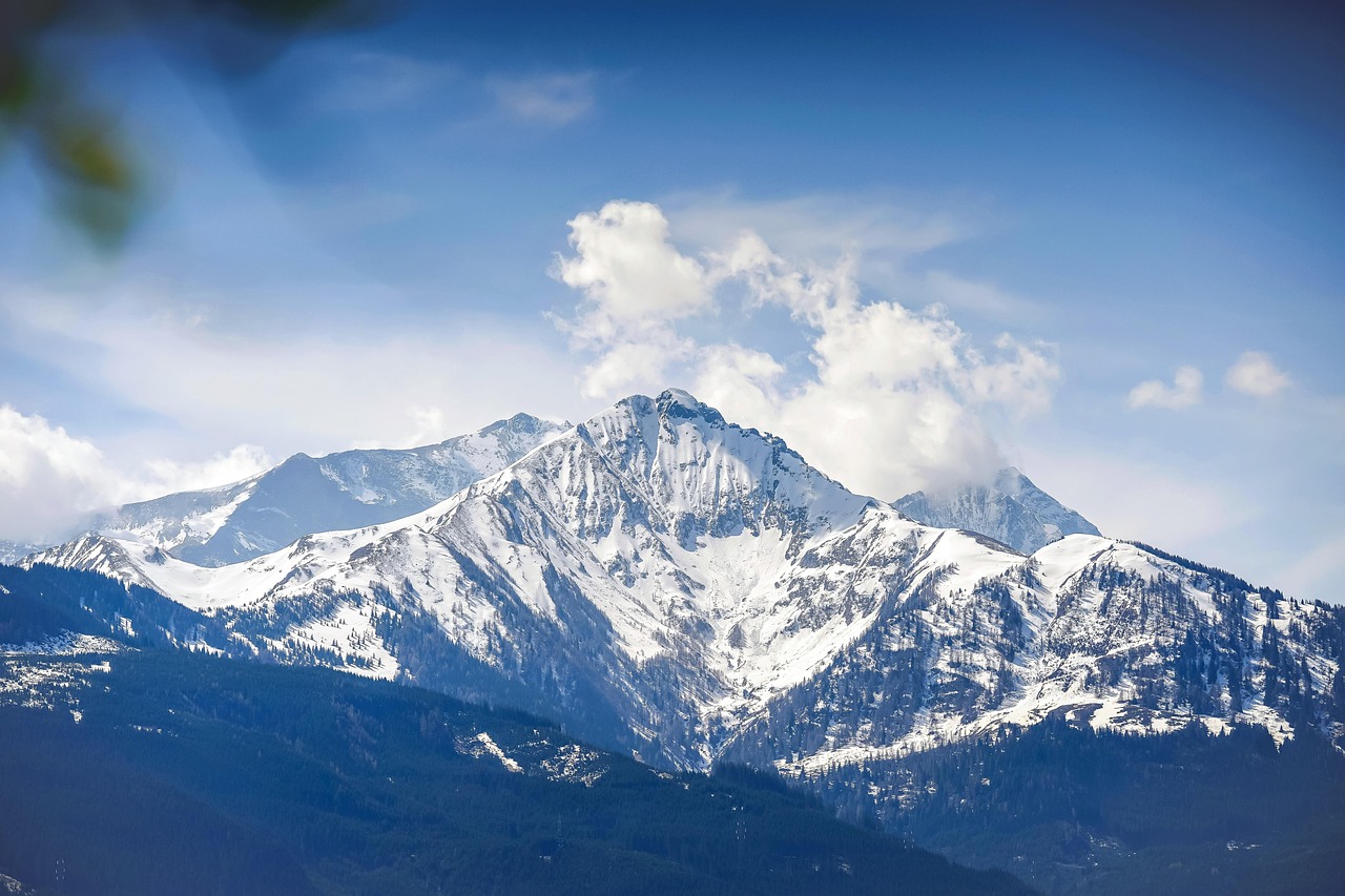 乐语通信实名账号：换脸app详情下载教程