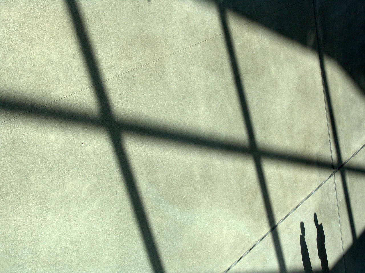 港免税红万宝路：app详情下载教程任务赚钱