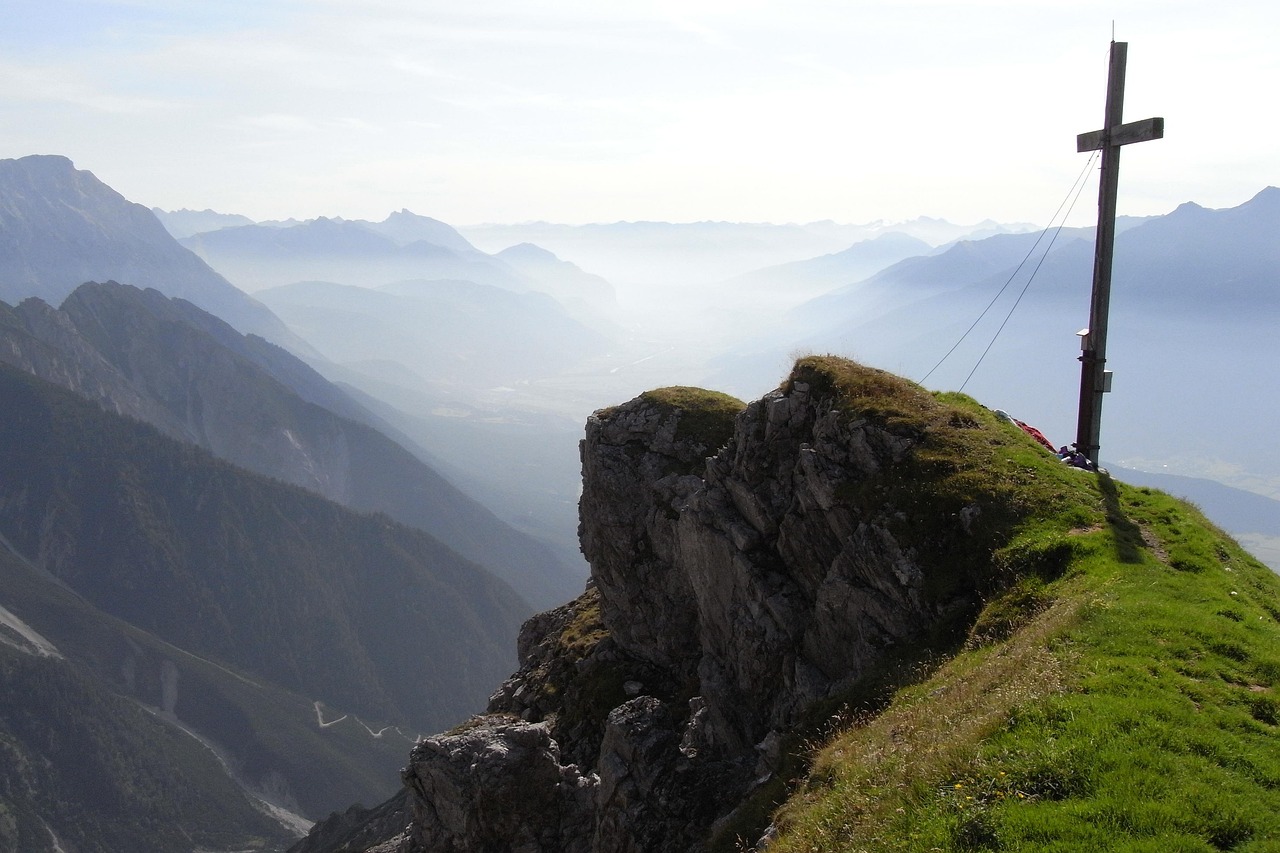 Mond梦都葡萄：东郊工商注册代理服务公司