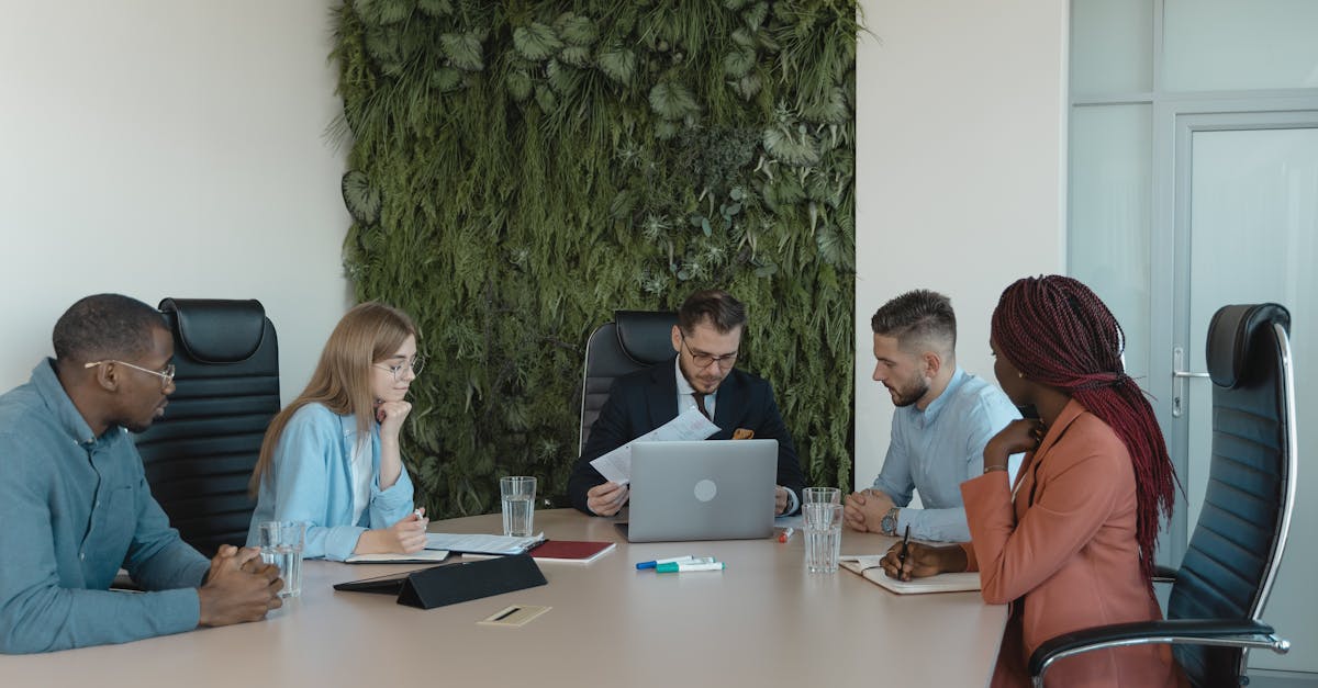 小鸟云实名账号:正规小号购买平台